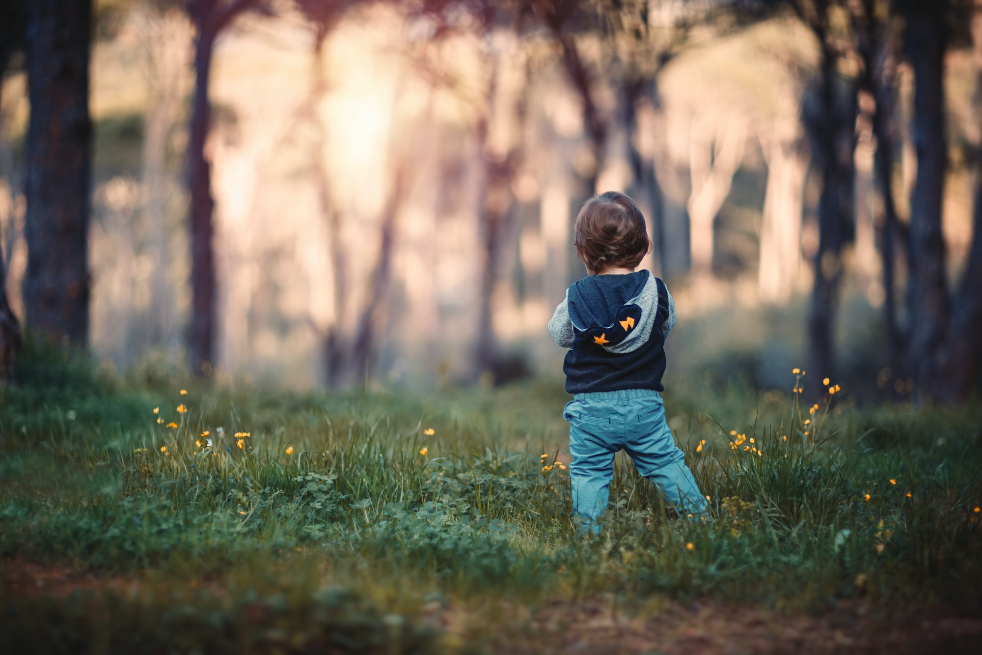 Little boy in the forest